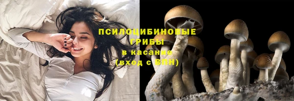 мяу мяу мука Медногорск