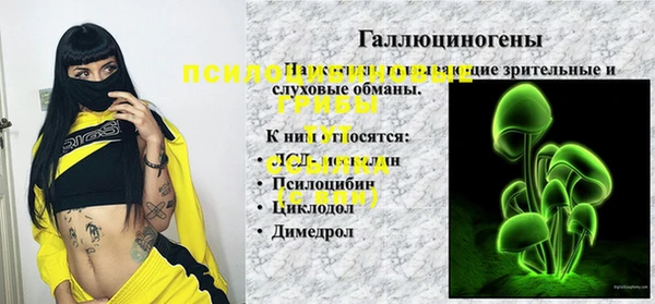 прущие крисы Медвежьегорск