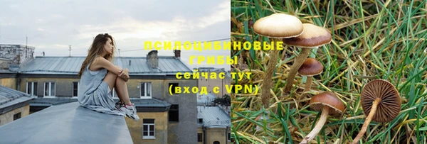 мяу мяу мука Медногорск