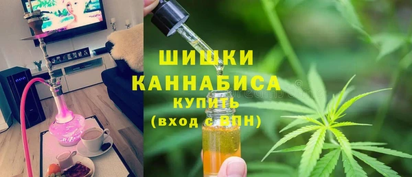 прущие крисы Медвежьегорск