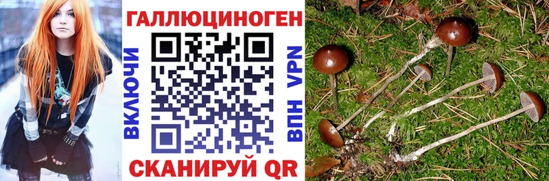 blacksprut ссылка  Химки  Псилоцибиновые грибы прущие грибы 